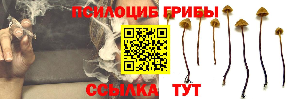 Псилоцибиновые грибы Psilocybine cubensis  Псилоцибиновые грибы Magic Shrooms  Кунгур  цены наркотик  Вход с VPN 